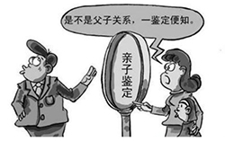 黑龙江医院做DNA鉴定价格(附2024年最新费用明细)