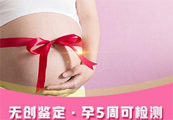 天津胎儿亲子鉴定中心需要等待多长时间出结果