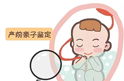 上海怀孕亲子鉴定大概价格（电话咨询）